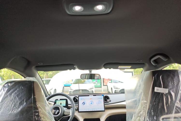 Used BYD Dolphin 2025 420km Free Edition
