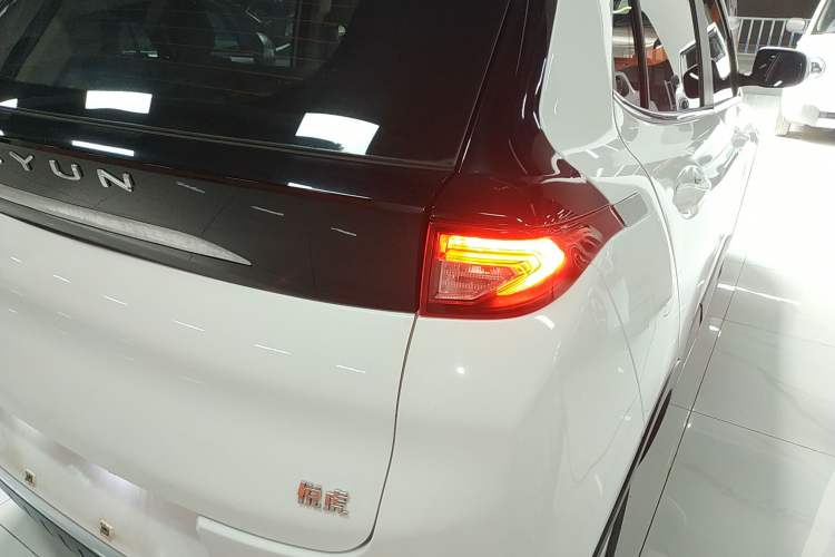 Used Dayun Yuehu 2022 300 Standard Edition
