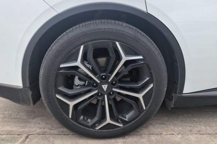 Used  L07 2024 300Max Extended-Range Version
