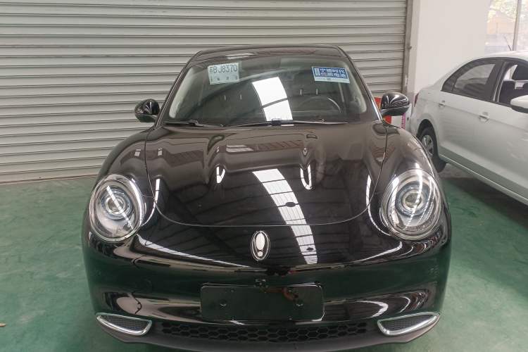 Used ORA Good Cat 2022 400km Standard Range Luxury Version Lithium Iron Phosphate