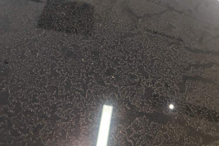 Used Nissan N7 2025 510 Max
