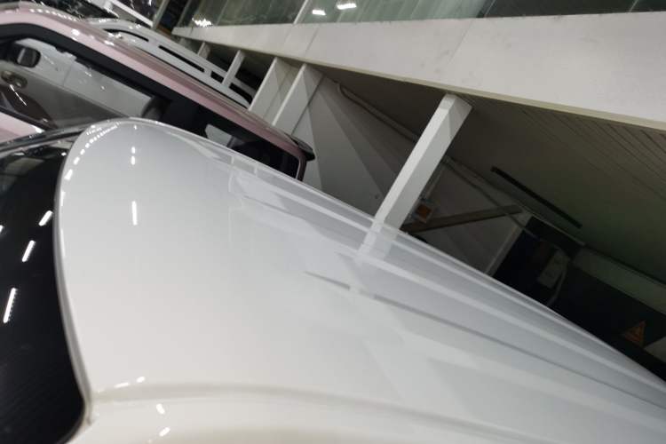 Used  Panda 2024 Panda Mini 200km Endurance Bear