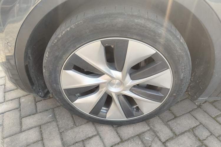 Used Tesla Model Y 2021 Long-Range All-Wheel-Drive Version 3D7
