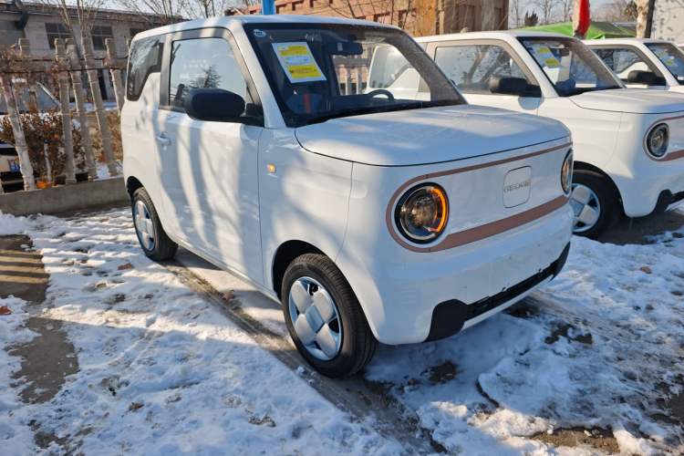 Used  Panda 2024 Panda Mini 200km Endurance Bear