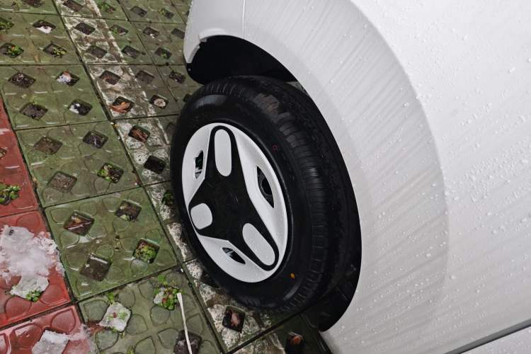 Used  Panda 2025 210 km – Yuanqi Bear
