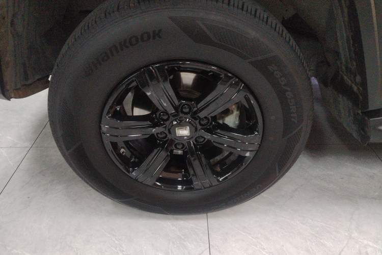 Used Tank 300 2024 2.0T Conqueror
