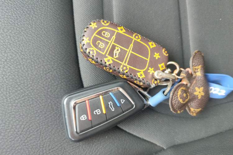 Used  Renegade 2019 220T Automatic Elite Edition
