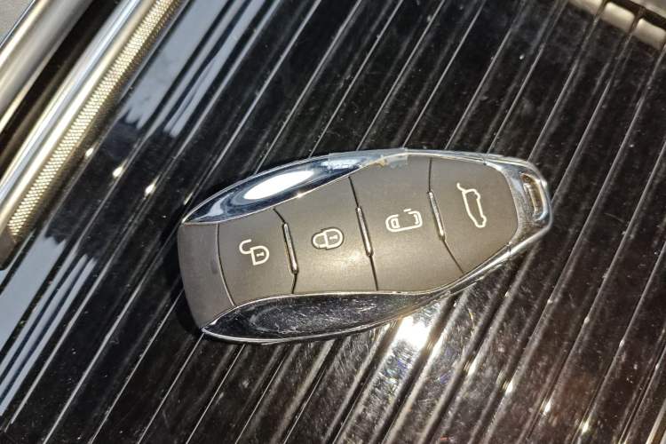 Used Hongqi HQ9 PHEV 2024 2.0T Four-Wheel Drive Business Edition
