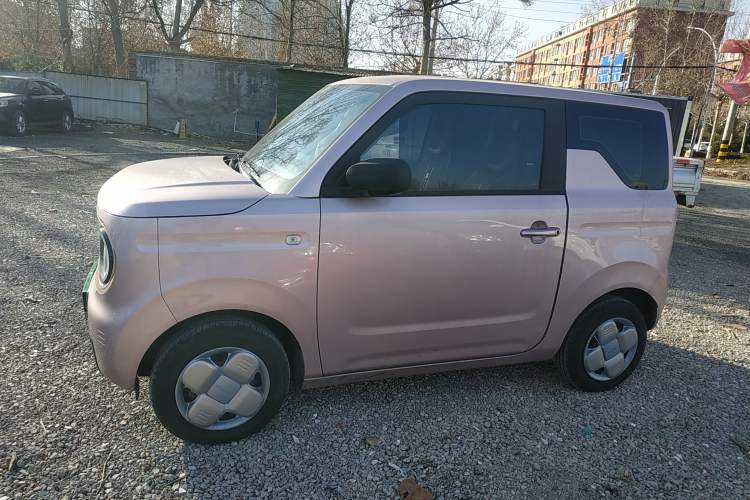 Used  Panda 2024 Panda Mini 200km Endurance Bear