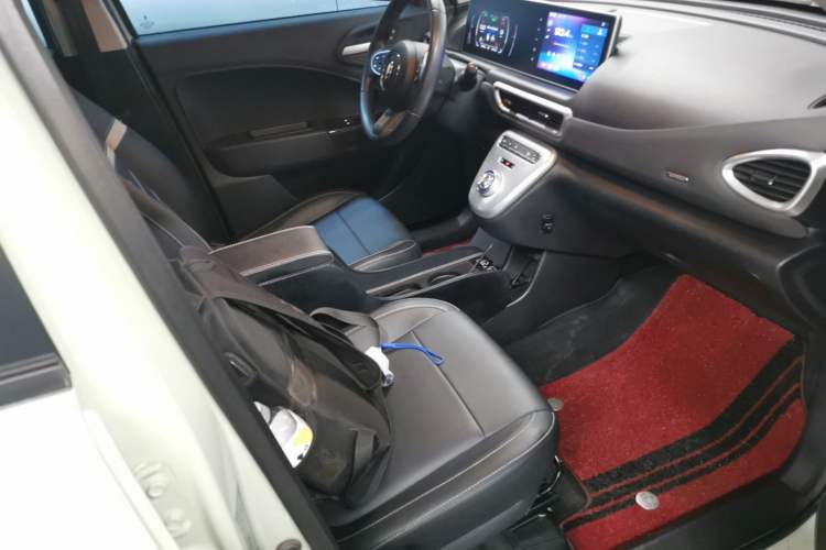 Used ORA White Cat 2022 Xiaoyue Mao Edition 360 km Luxury Model Lithium NMC
