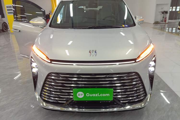 Used Buick GL8 2025 Lu Zun Deluxe Edition