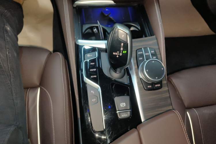 Used BMW 5 Series 2020 530Li Luxury Edition Premium Package