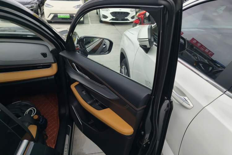 Used  Zhuifeng 2020 Chasing the Waves Edition 1.5T CVT Xingrui Version
