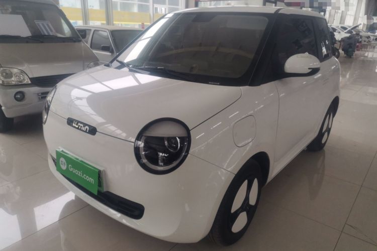 Used Qiyuan Lumin 2023 205km Xiangqin Version