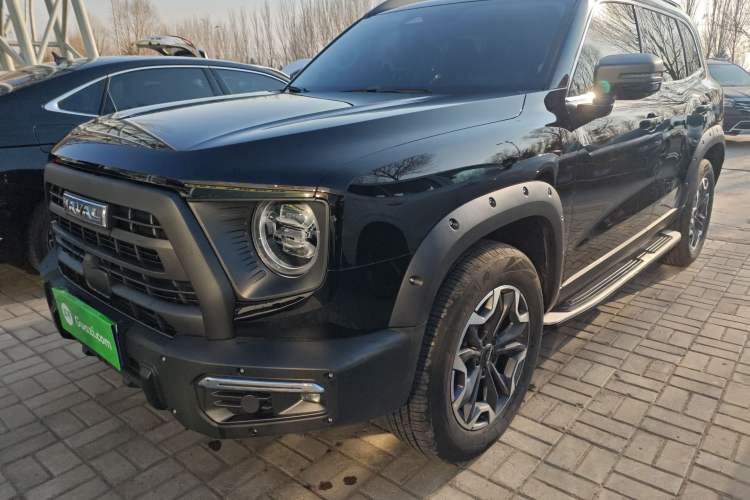 Used Haval DARGO 2024 2.0T DCT Chinese Rural Dog Edition