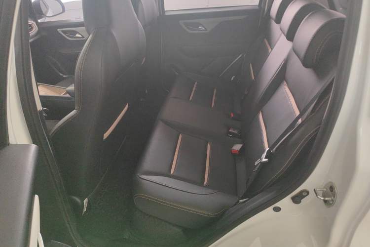 Used SOL E10X 2022 Flower Fairy Design Four-Leaf Clover