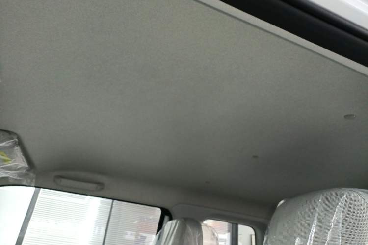 Used  Lumin 2025 205 km Xiangqin Version
