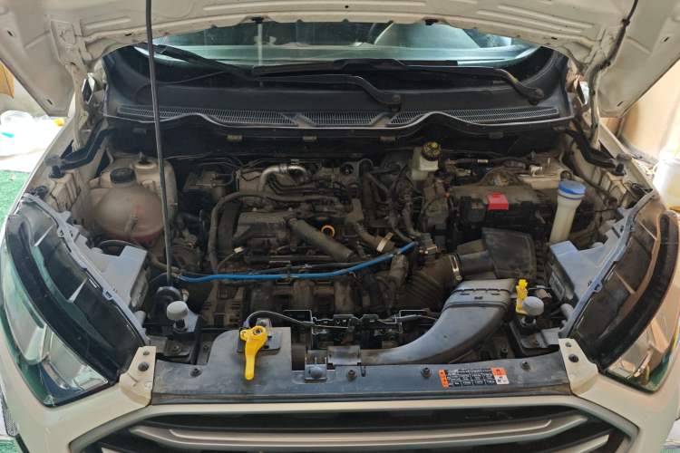 Used Ford EcoSport 2018 1.5L Automatic Platinum Wing Model
