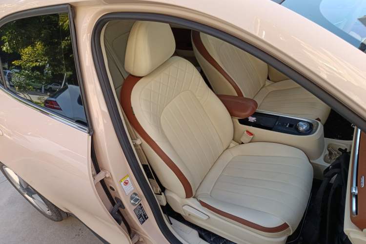 Used ORA Good Cat 2021 400km Standard Range Athena Edition Lithium-Ion Battery
