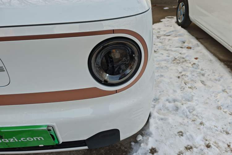 Used  Panda 2024 Panda Mini 200km Endurance Bear