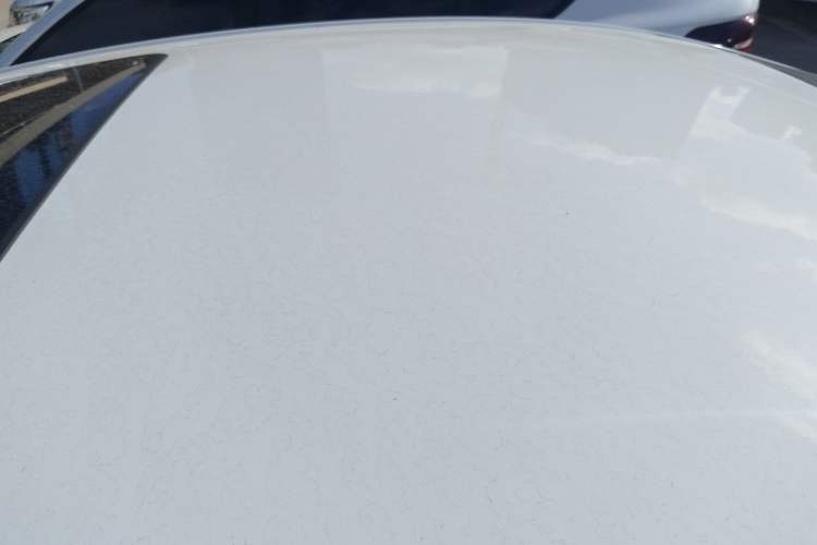 Used Buick Verano 2019 Sedan 15S Automatic Leading Model
