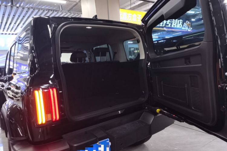 Used Tank 300 2023 City Edition 2.0T—Stylish as Ever
