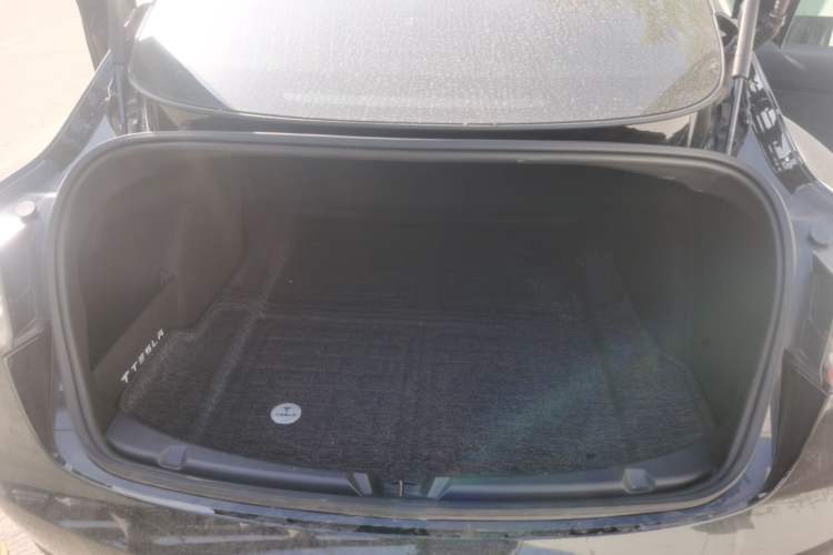 Used Tesla Model 3 2020 Revised Version Standard Range Rear-Wheel Drive – Upgraded Edition
