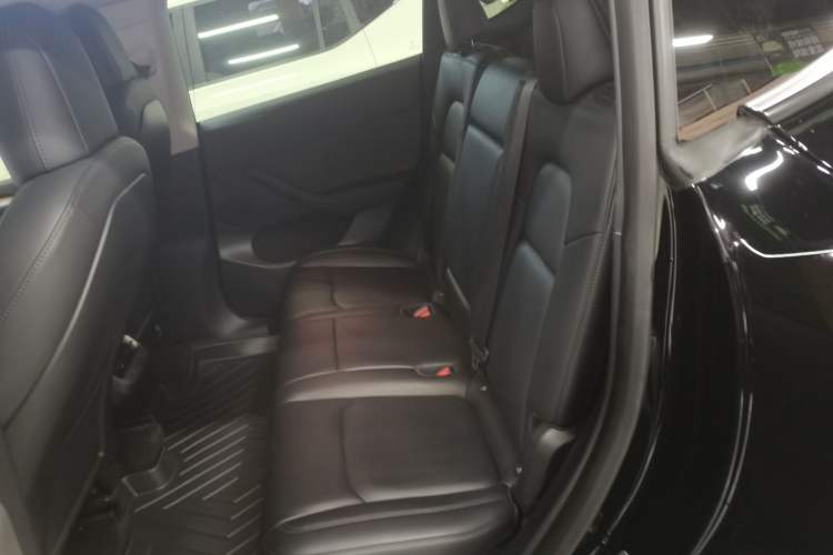 Used Tesla Model Y 2021 Standard Range Rear-Wheel Drive Version
