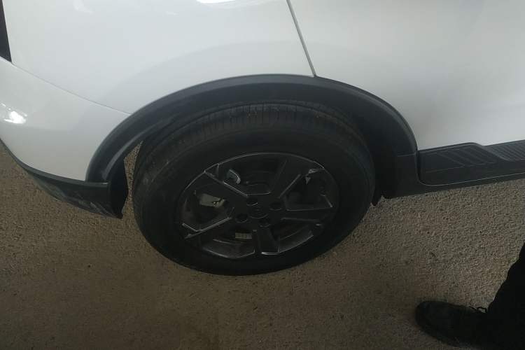 Used Geometry E Firefly 2024 401 km Fluorescent