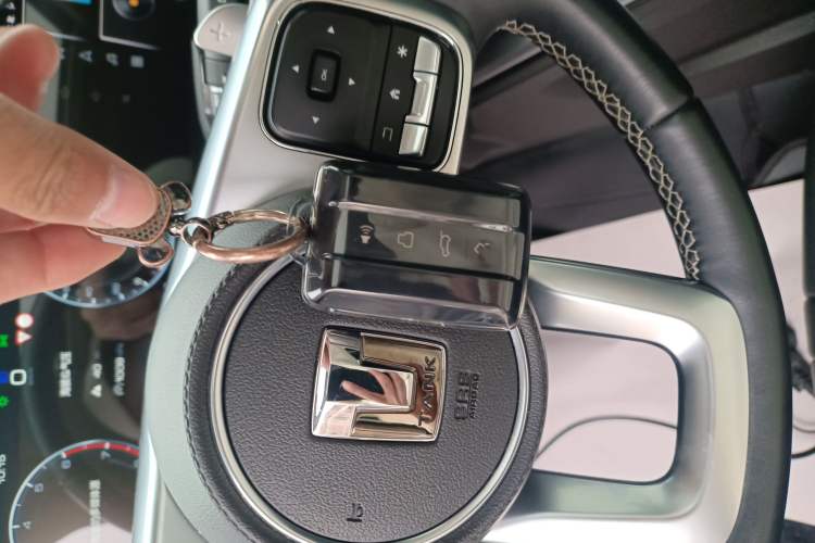 Used Tank 300 2023 Off-Road Edition 2.0T Conqueror
