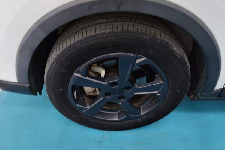 Used Geometry E Firefly 2022 320KM Cute Tiger 4-Seater
