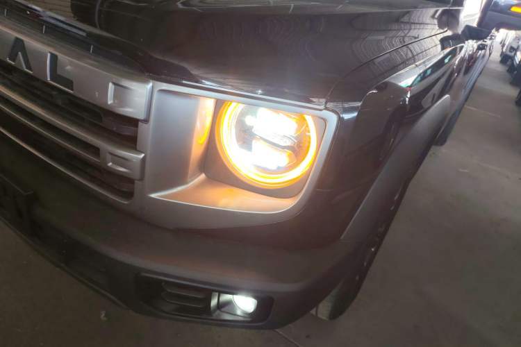 Used Haval DARGO 2024 2.0T DCT Chinese Rural Dog Edition
