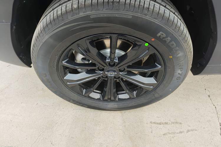 Used Haval Raptor New Energy 