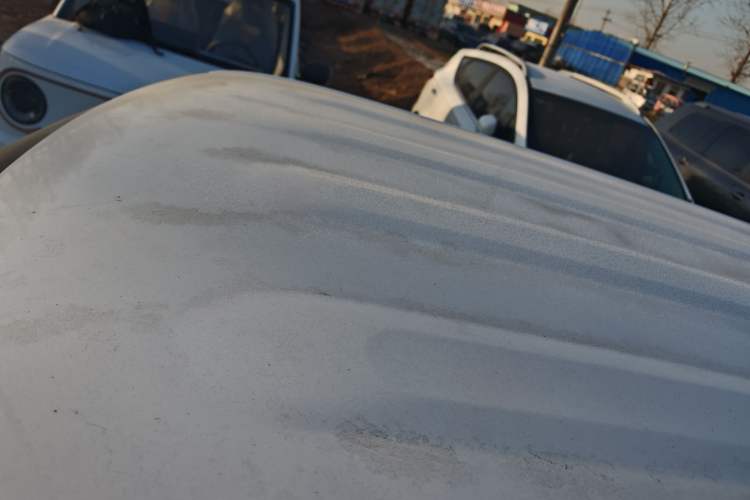 Used  Panda 2024 Panda Mini 200km Endurance Bear