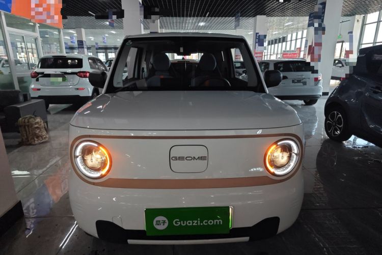 Used  Panda 2024 Panda Mini 200km Endurance Bear