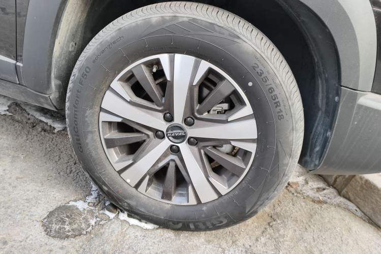 Used Haval DARGO 2021 1.5T DCT Two-Wheel Drive Labrador Edition
