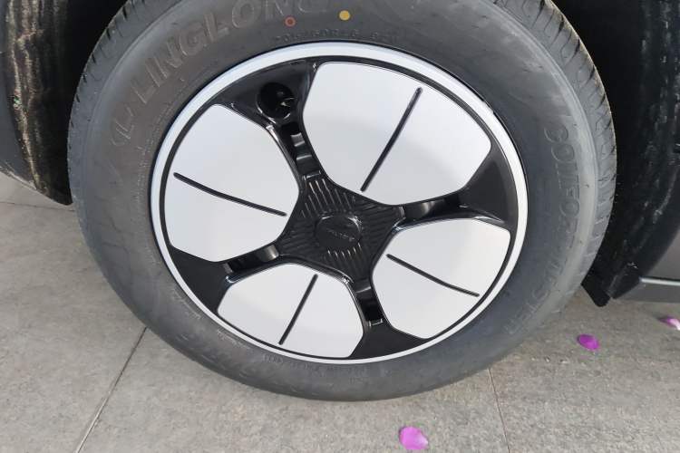 Used  Geome 2025 310km Youth Edition
