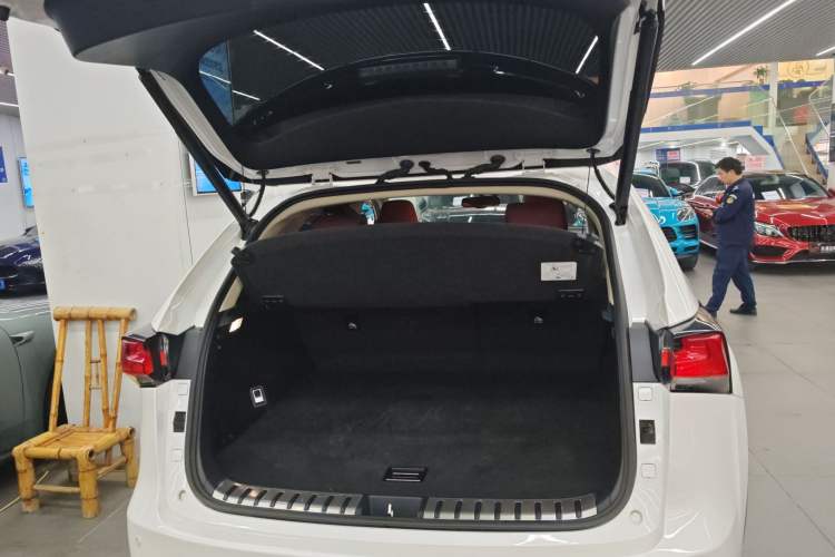 Used Lexus NX 2020 200 Front-Wheel Drive Freeline Edition China VI Standard