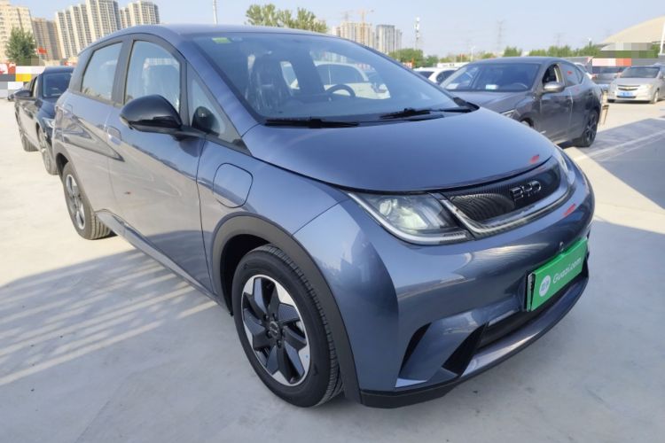 Used BYD Dolphin 2025 420km Free Edition

