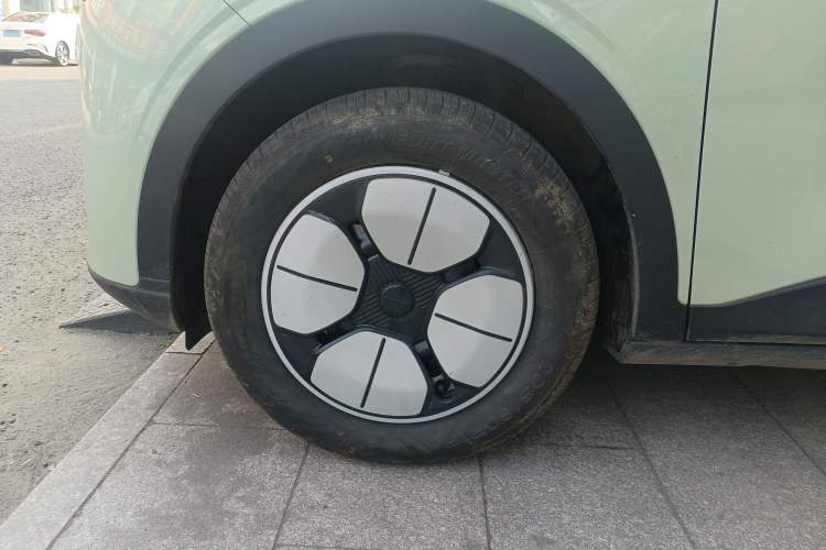 Used  Geome 2025 310km Youth Edition