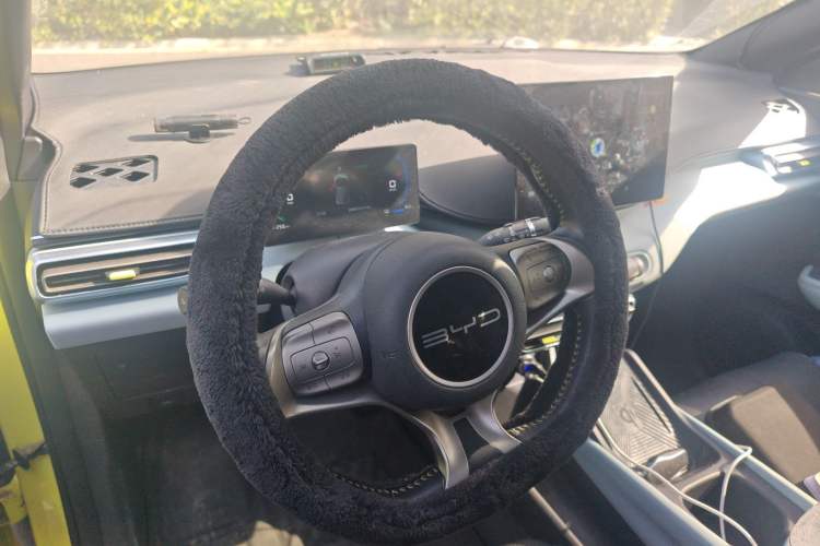 Used BYD Seagull 2023 Flying Edition
