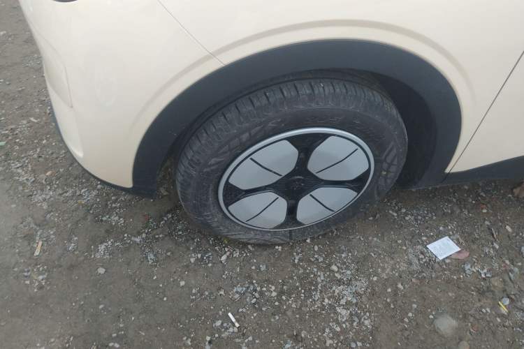 Used  Geome 2025 310km Youth Edition