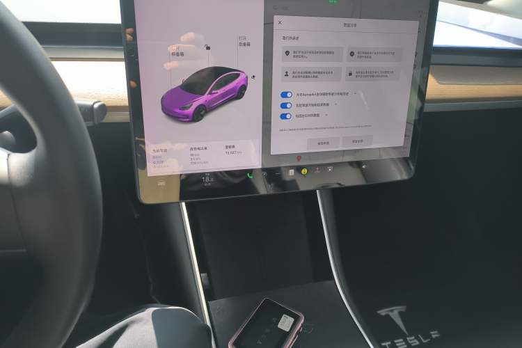 Used Tesla Model 3 2020 Standard Range Rear-Wheel Drive Upgraded Version
