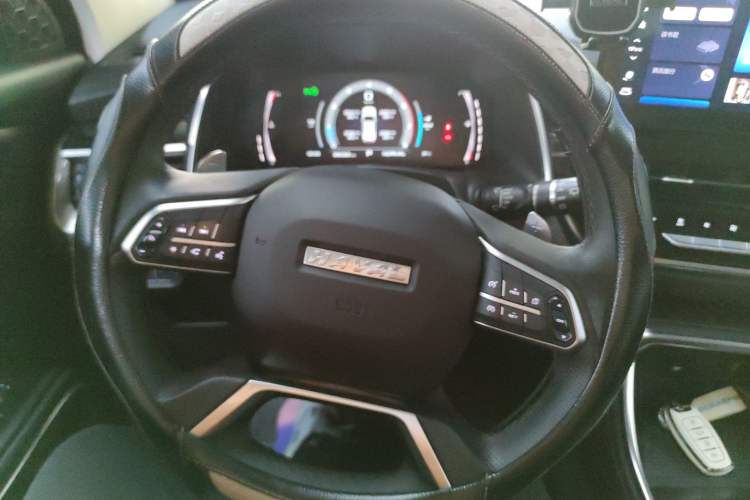 Used Haval H6 2021 National Trend Edition 1.5T Automatic Champion Version
