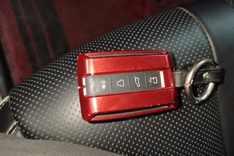 Used Tank 300 2024 2.0T Conqueror