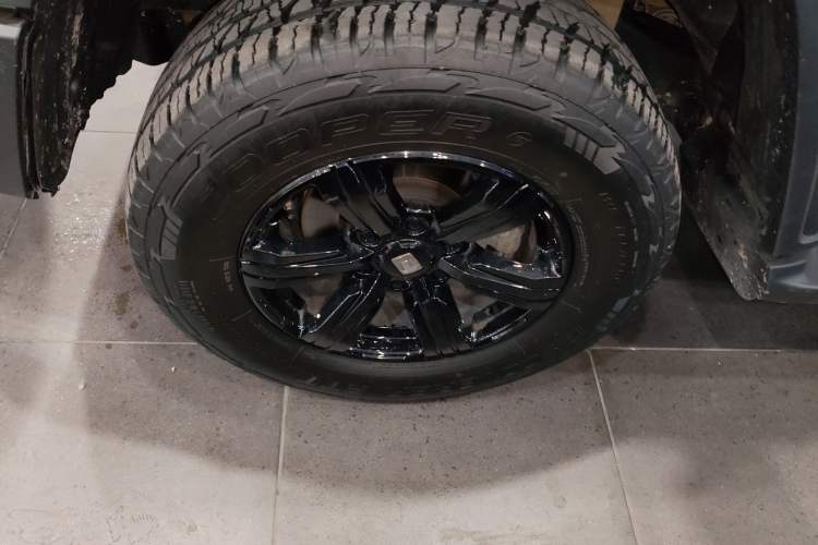 Used Tank 300 2024 2.0T Conqueror