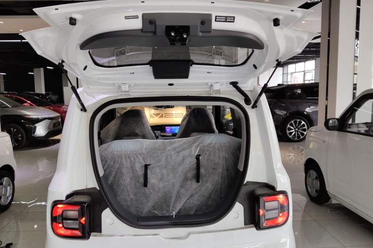 Used  Panda 2024 Panda Mini 200km Endurance Bear