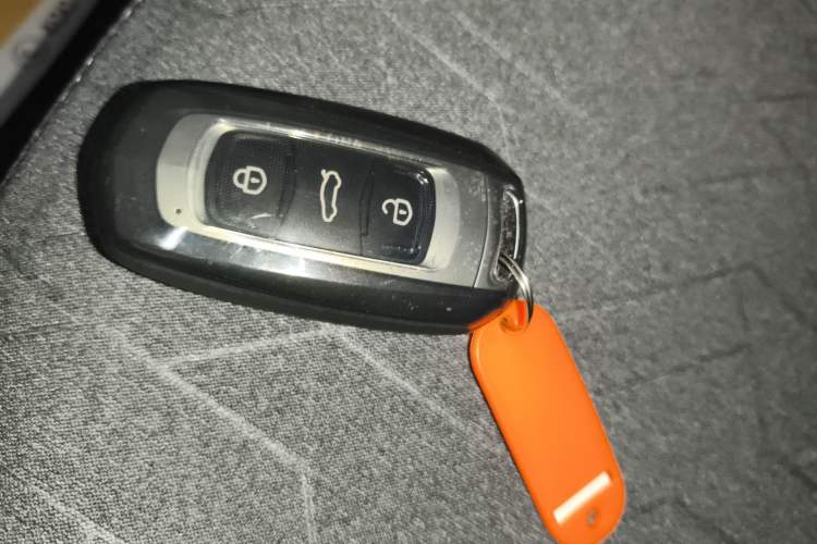 Used  Panda 2024 Panda Mini 200km Endurance Bear
