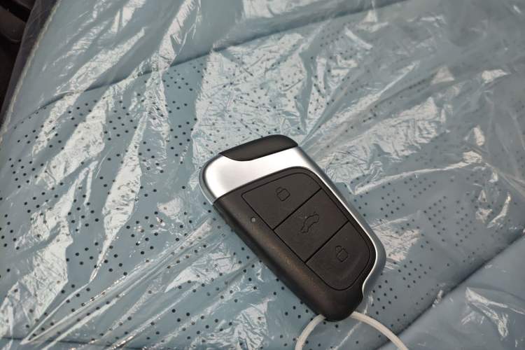 Used Chery Little Ant 2024 251km True Love Edition