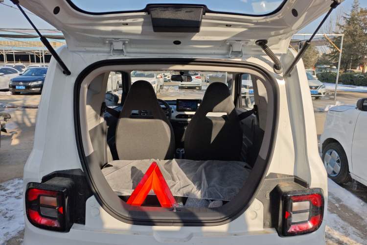 Used  Panda 2024 Panda Mini 200km Endurance Bear